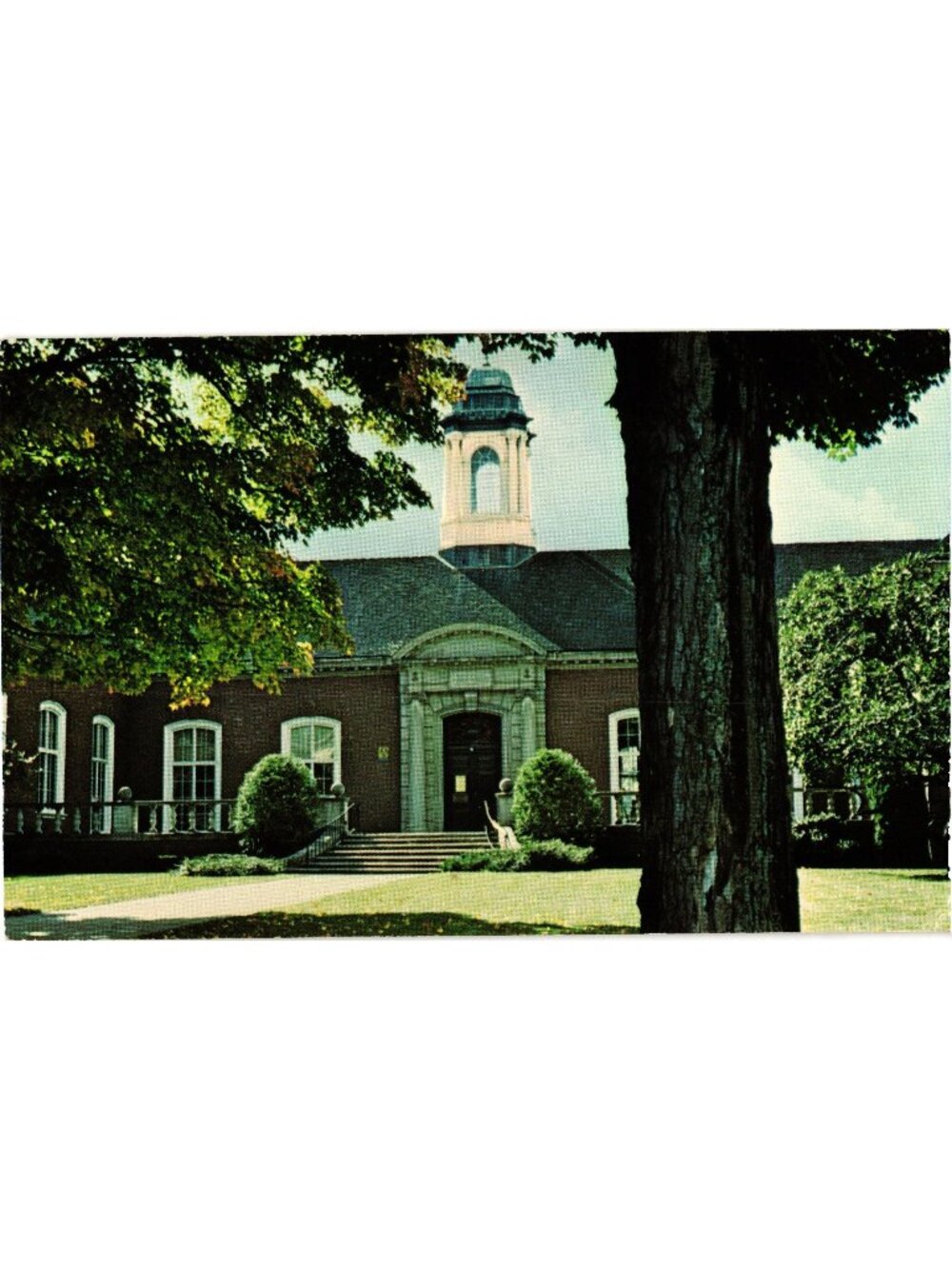 The David A. Howe Library Wellsville NY 1970s Postcard Dexter Press Unused